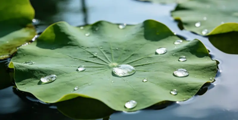 银川乳腺癌21基因mRNA表达分析图片1