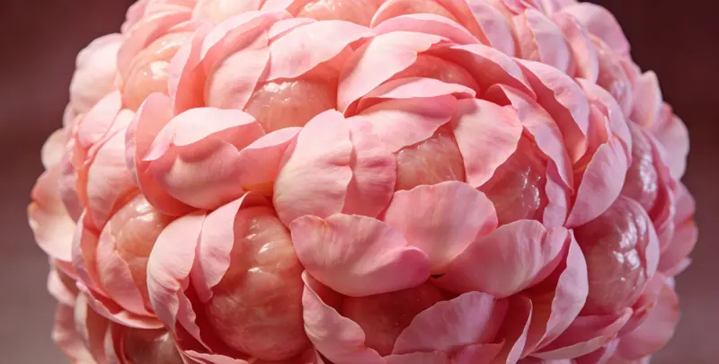 银川BRCA1/2乳腺癌卵巢癌基因检测图片1